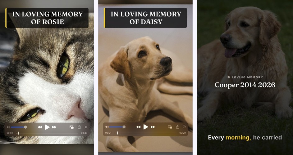 Loyal Memory pet tribute cards — Rosie, Daisy, Cooper